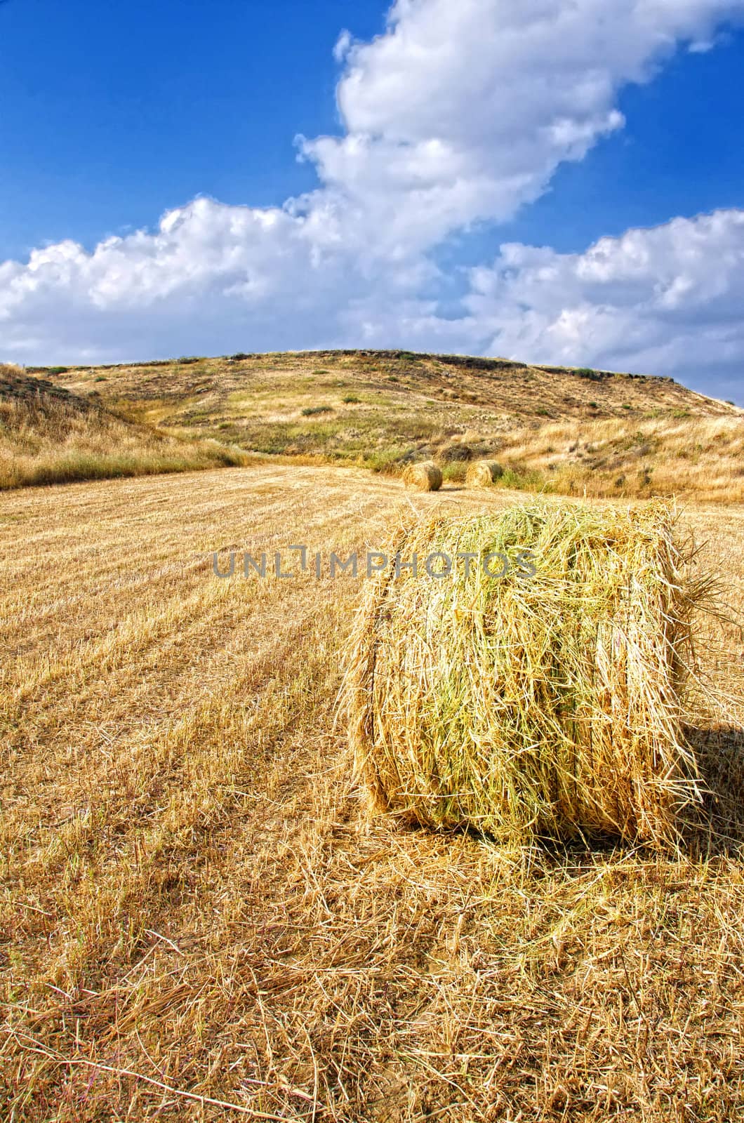 Hay roll in golden dry field on a sunny day