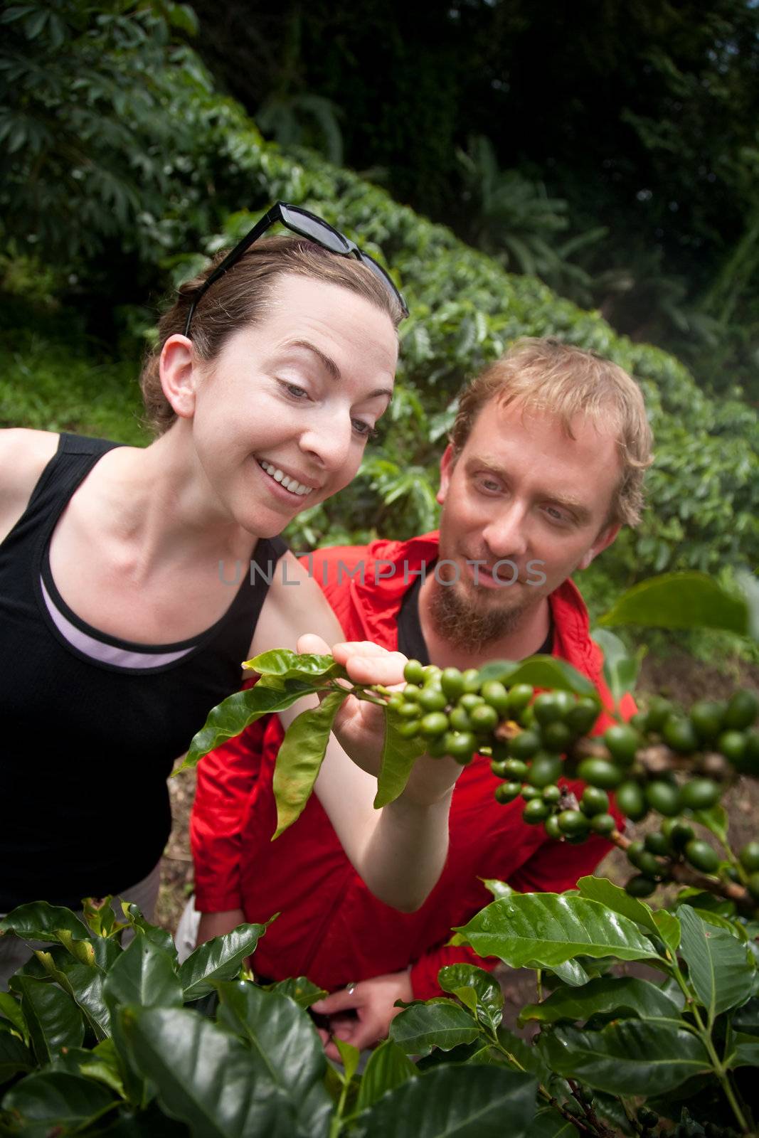 Attractive American and European couple on coffee plantation in Costa Rica