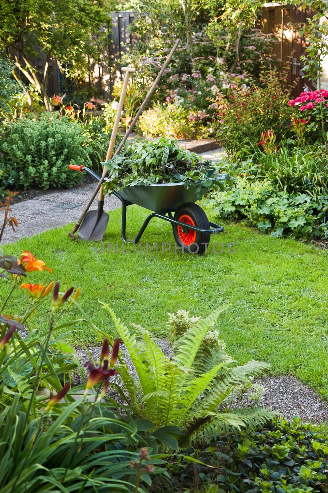 Working with wheelbarrow  in the garden  by Colette