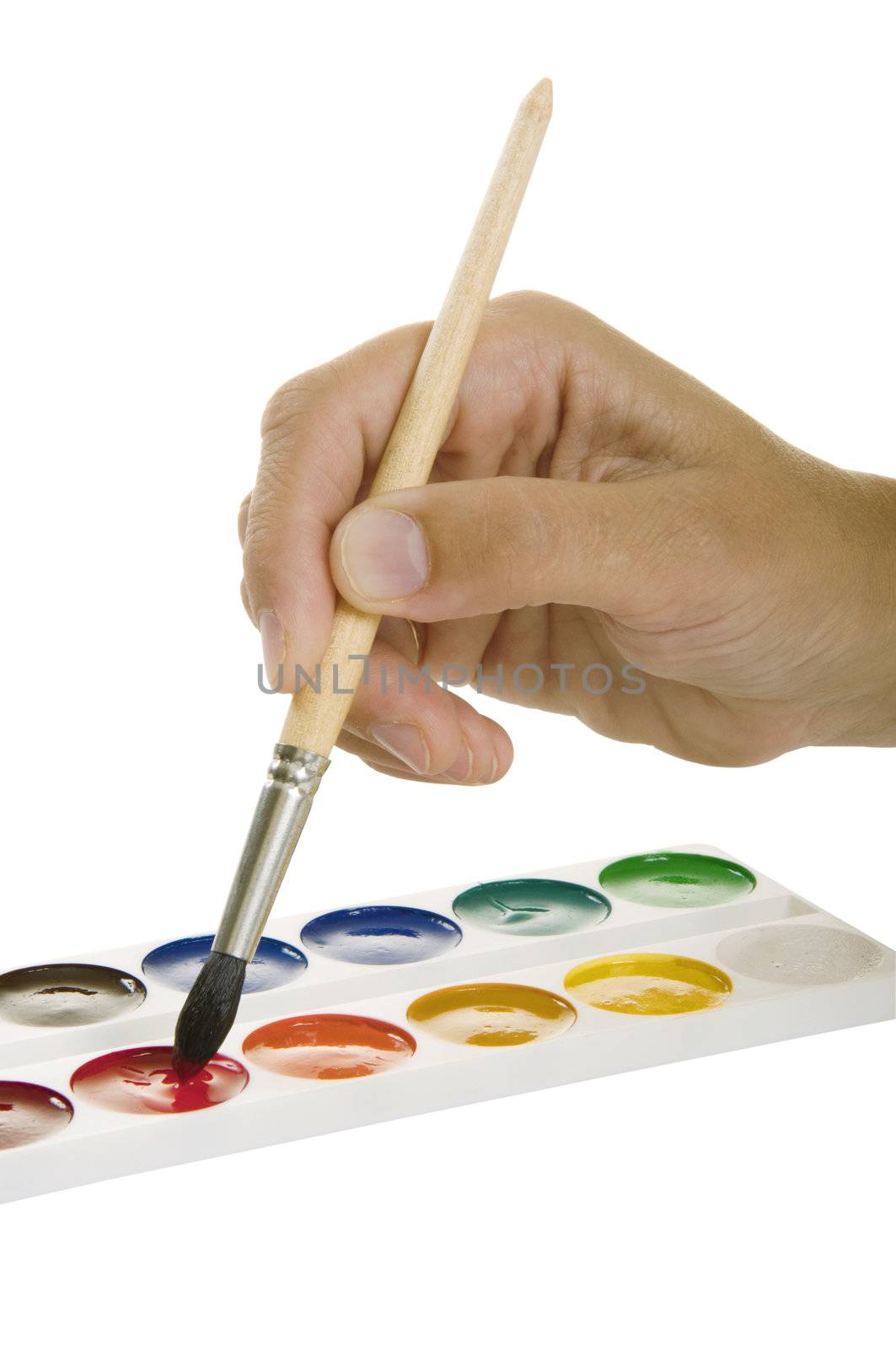 watercolors and hand with a paintbrush on a white background