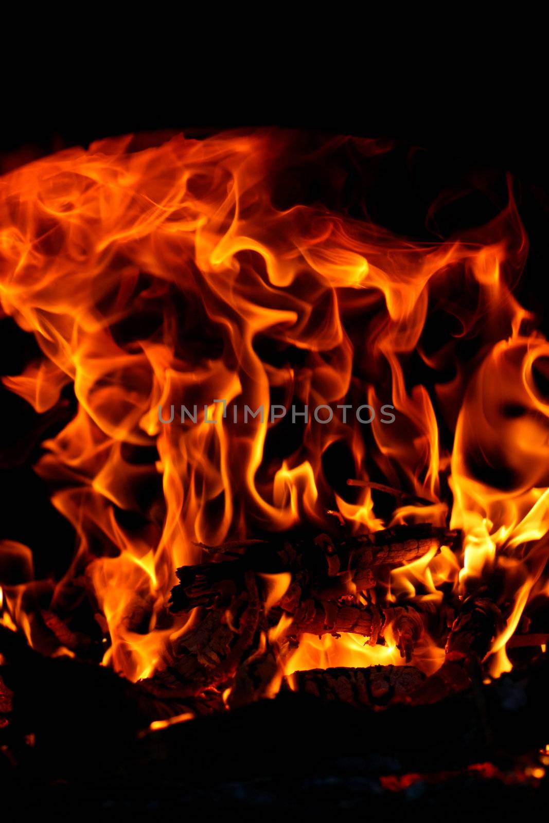 Closeup shot of some red flames burning some wood.