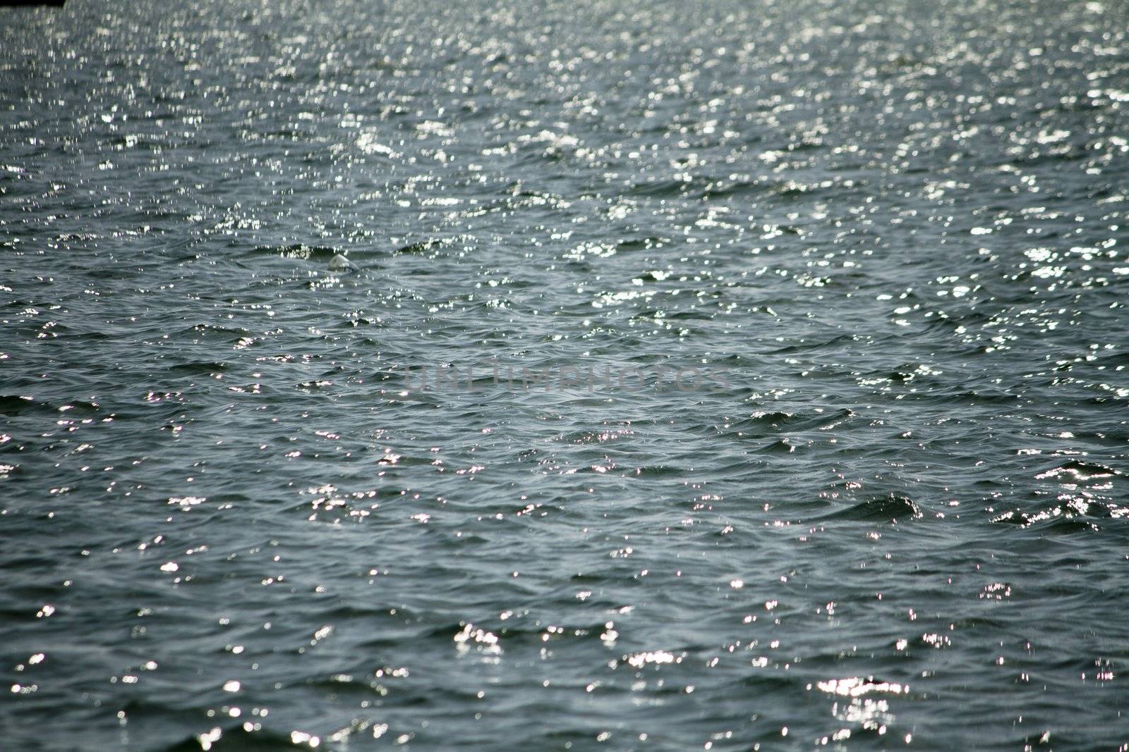 View of a section of the sea with tiny waves and shine from the sun.