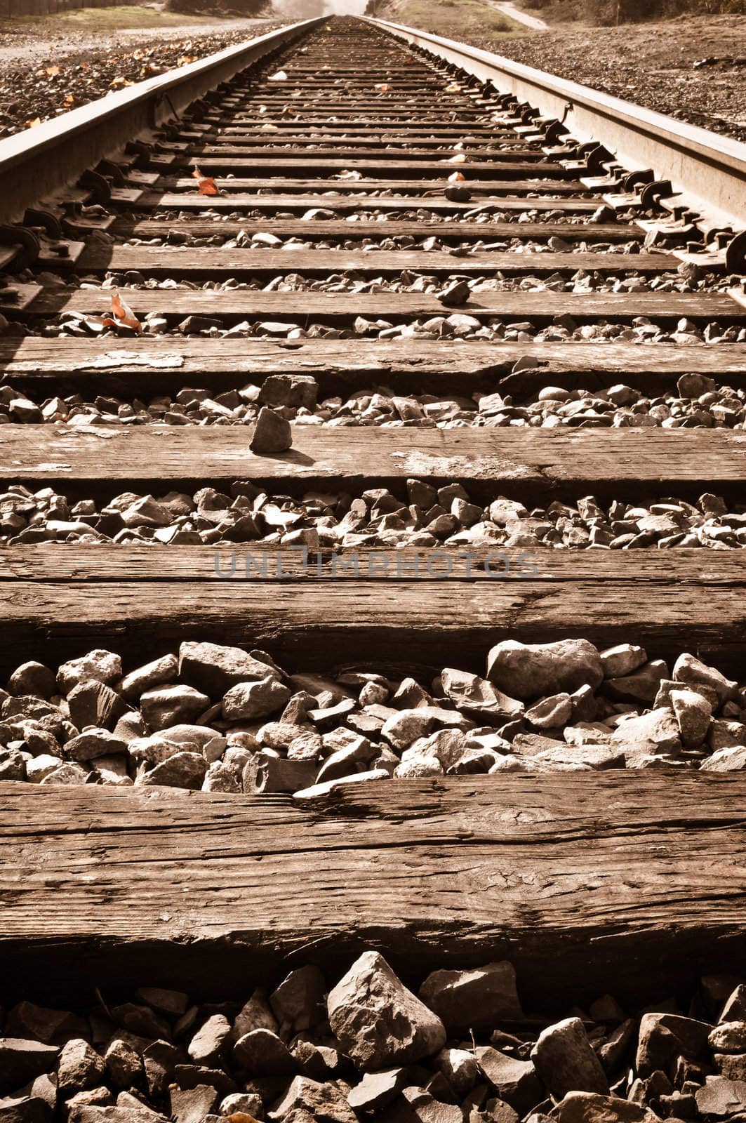 Sepia Vertical Railroad Track in Fall