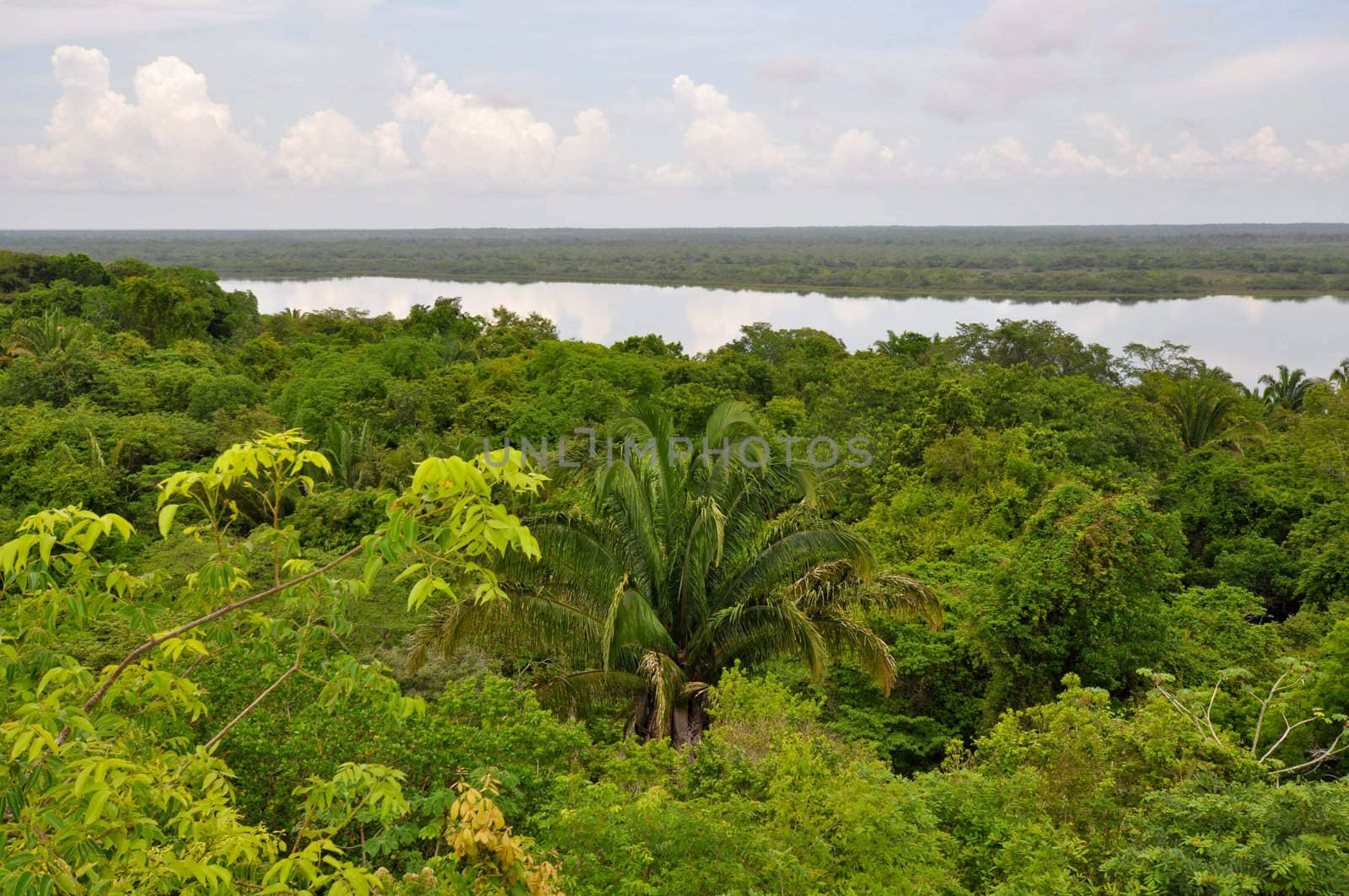 Rain Forest and Lagoon View in Costa Rica