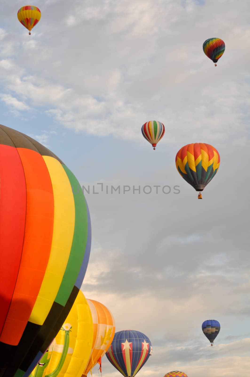 Reno Hot Air Balloon Race