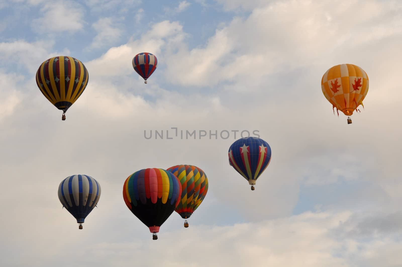 Reno Hot Air Balloon Race Festival