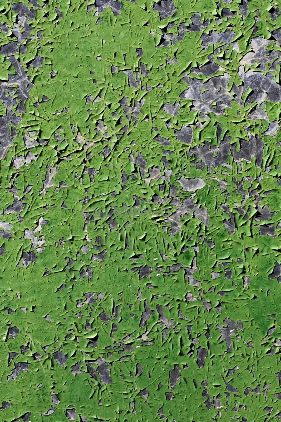 green metal texture with peeled paint by membio