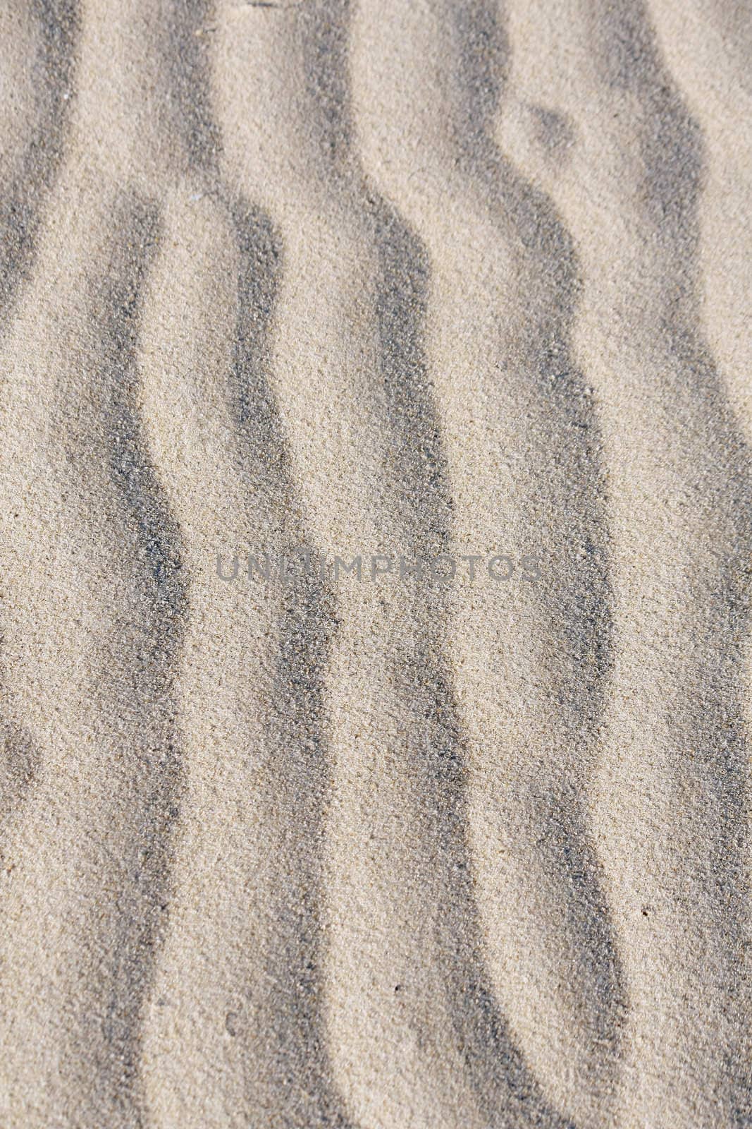 Sand waves formed by wind and the low tide at the beach.