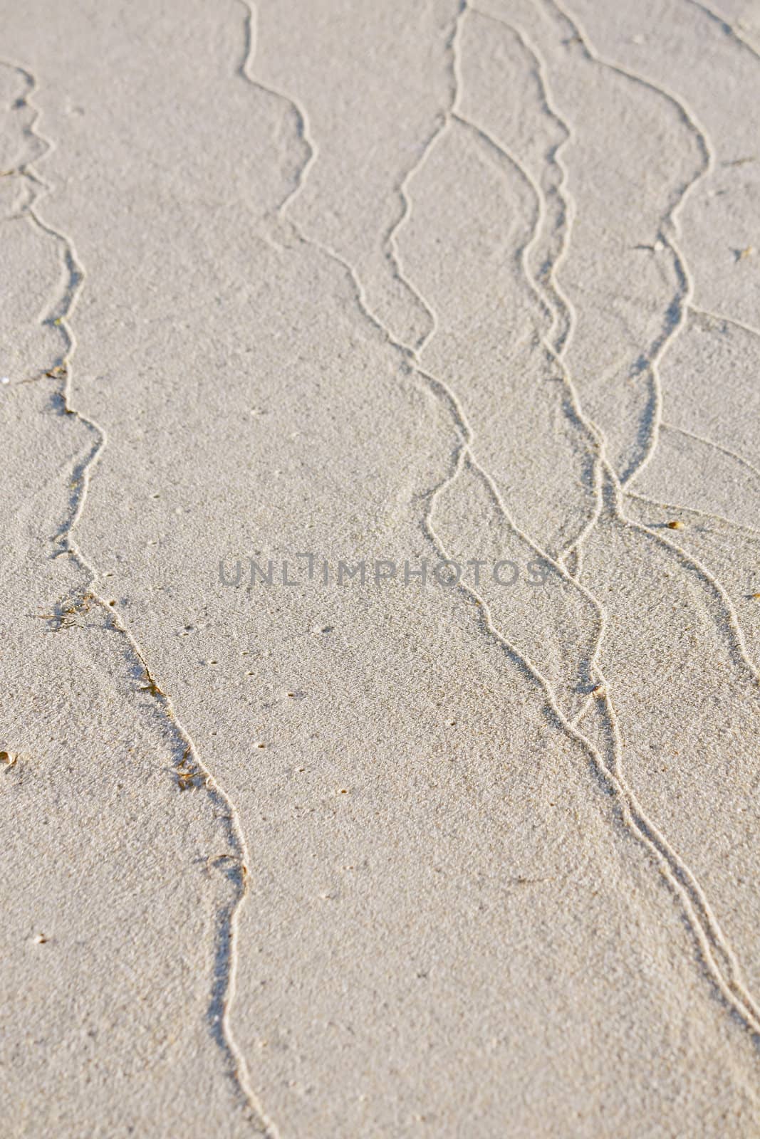 Sand ripples formed by the bathing water tide on the beach.