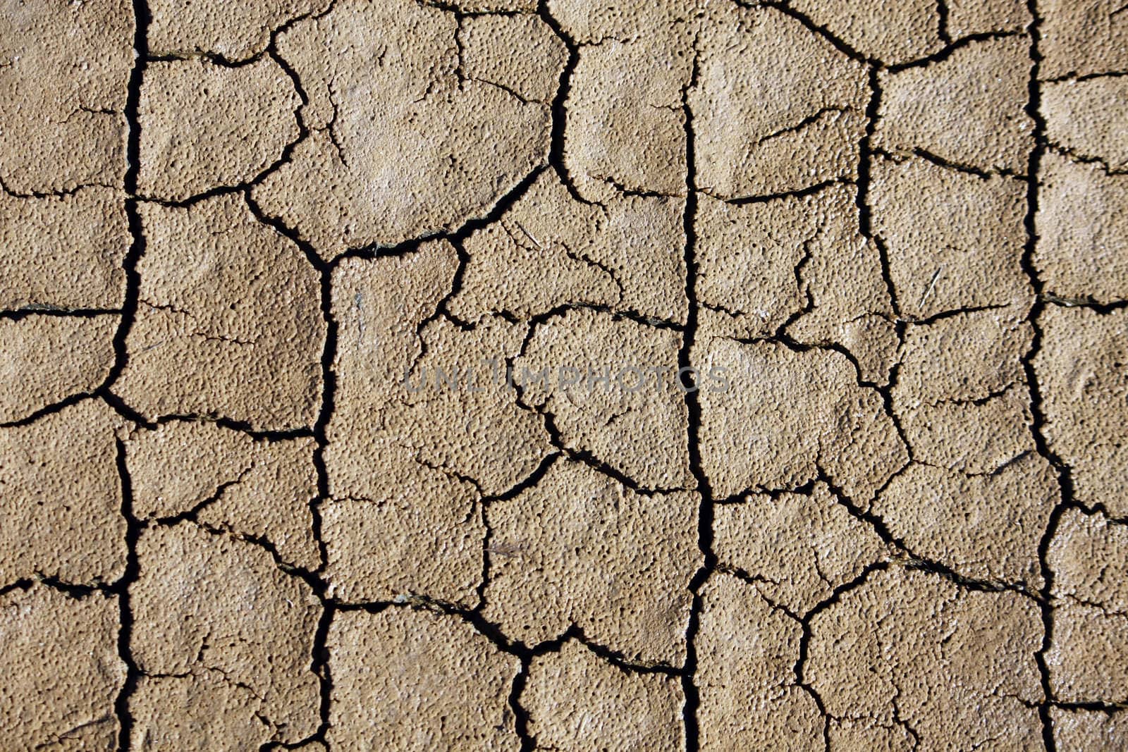Close texture view of some dried out ground with many cracks.