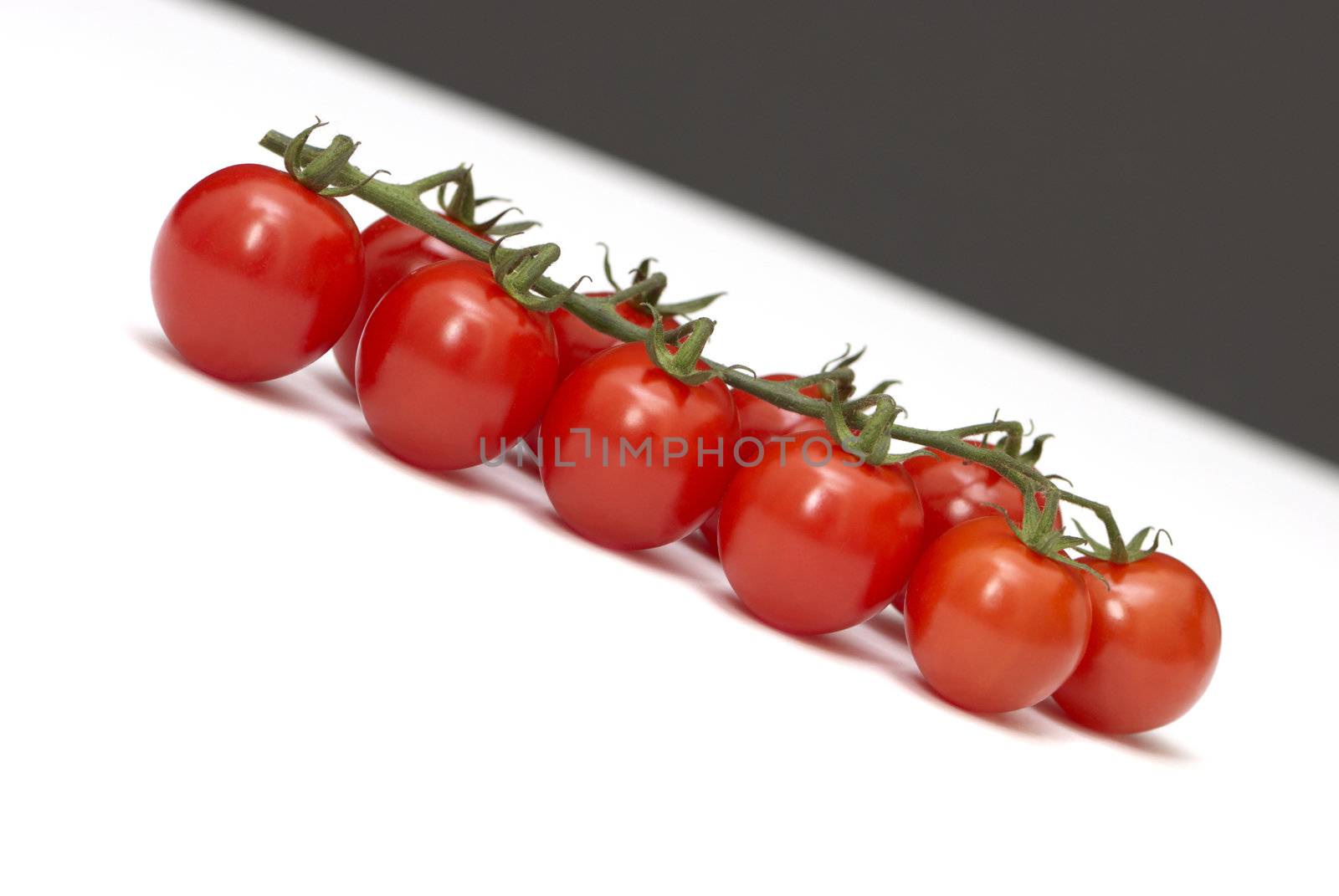 Branch a tomato diagonally on a white and black background