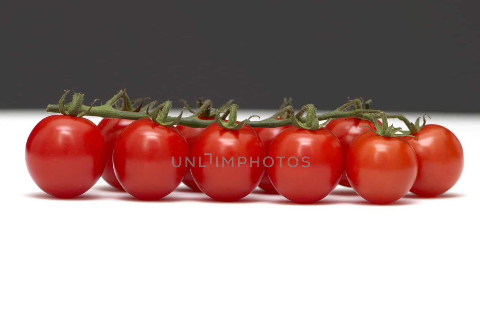 Branch a tomato on white and black by Olinkau