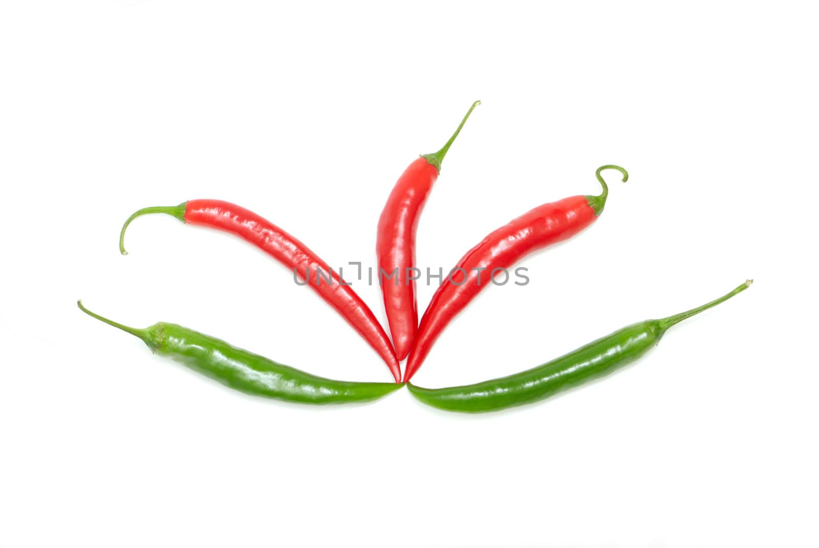 Colored chili peppers on a white background