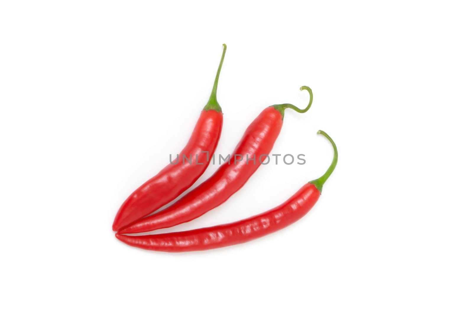 Three red hot chili peppers on white background