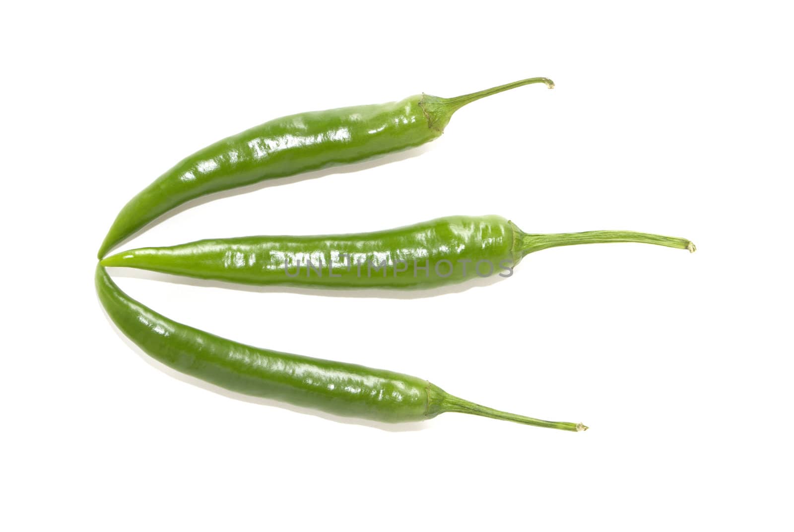 Green hot chili peppers on white background
