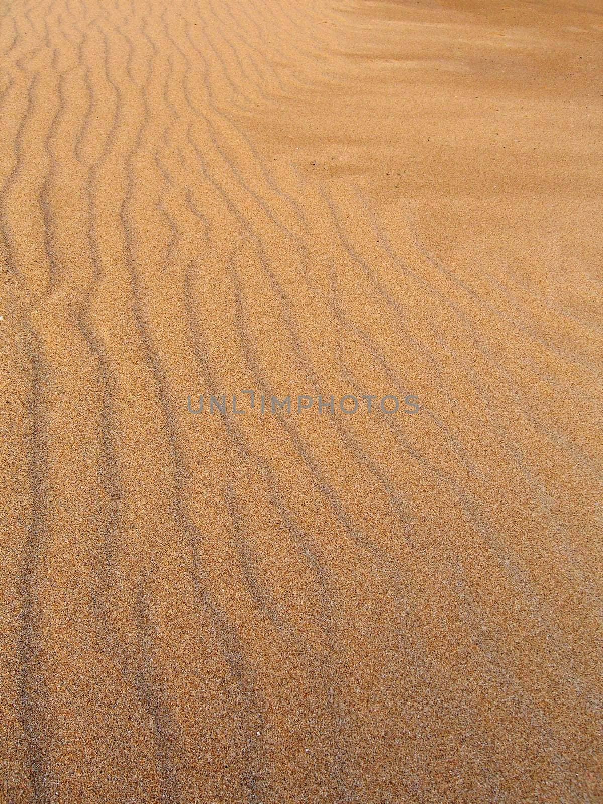 Sand waves on some beach on Algarve.