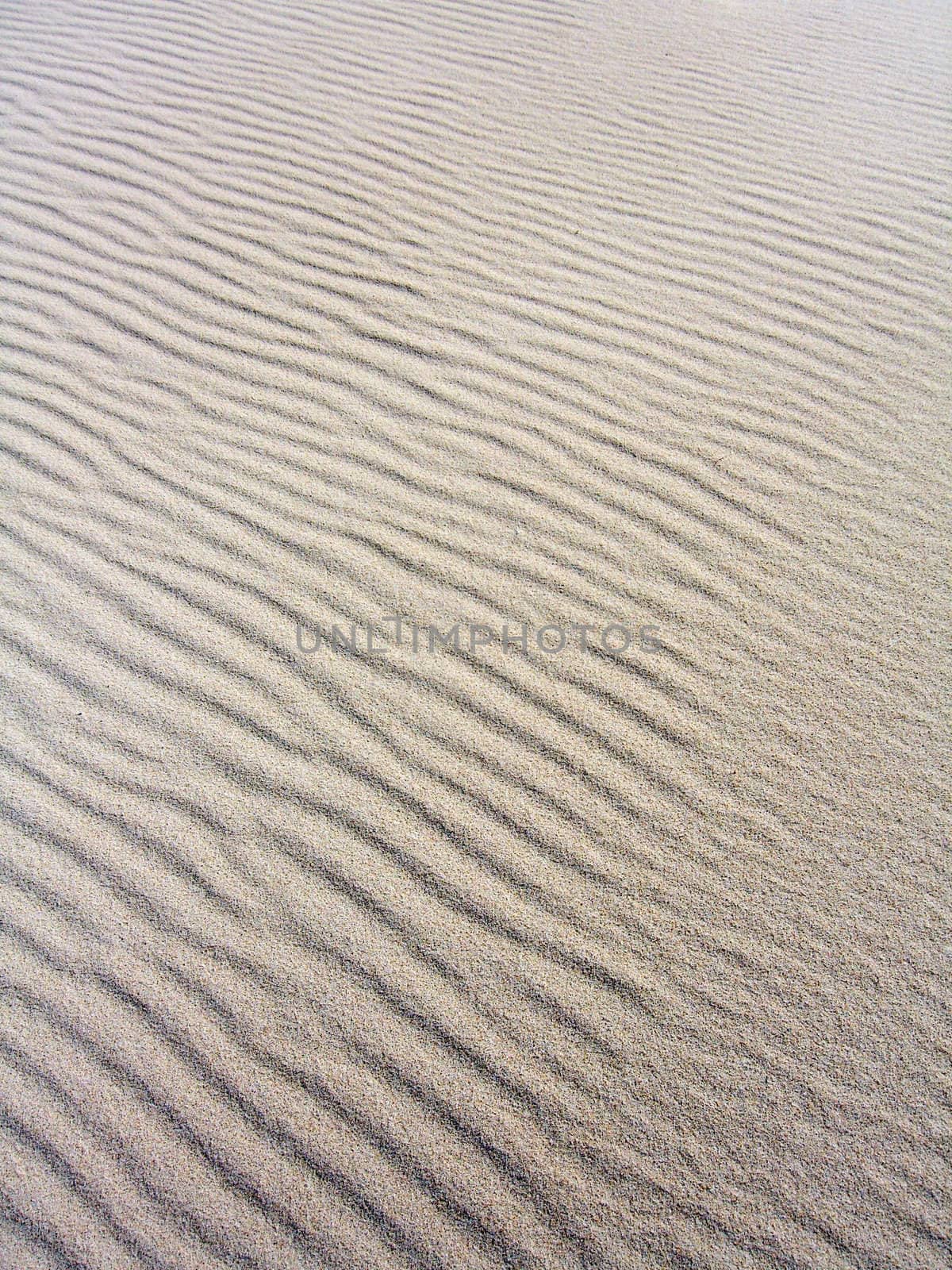 Many sand ripples on beach shaped by the influence of the wind.