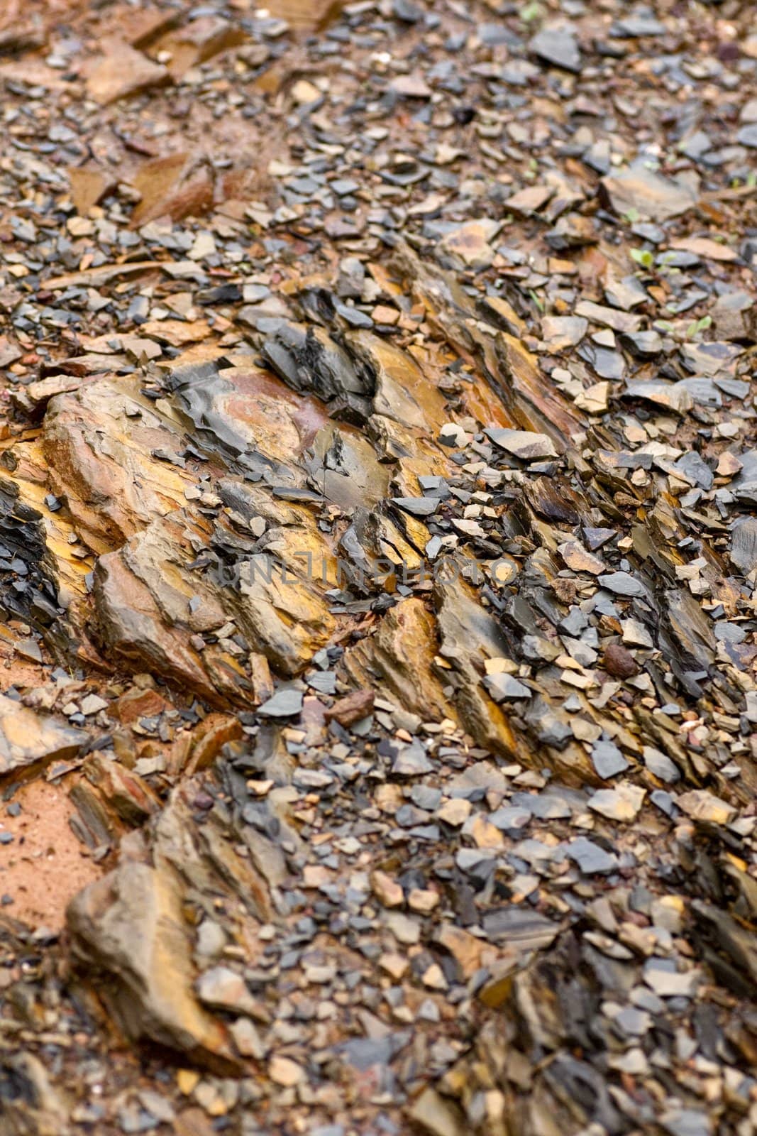 Close view of the ground texture of a mountain, featuring rocks and pebbles.