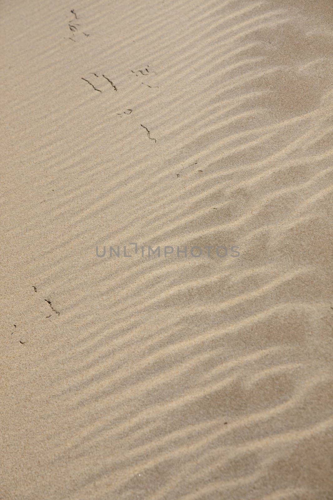 View of the beautiful lines on the sand on the beach .