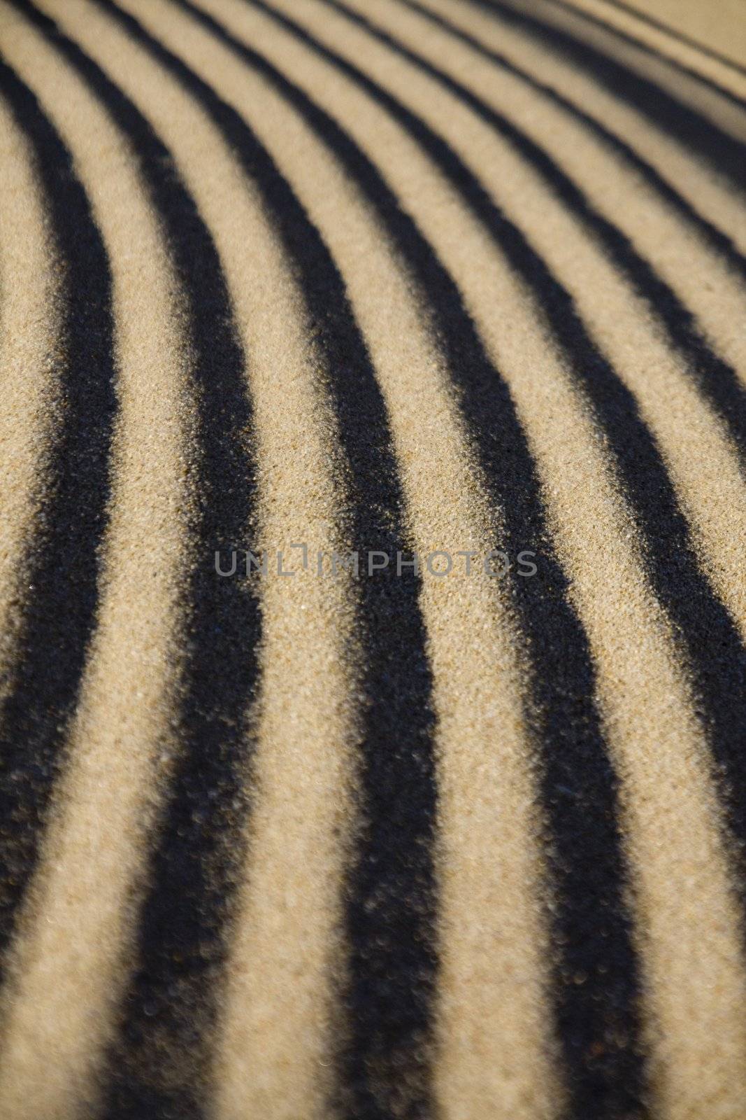 Close up view of the detail of some ripples on sand.