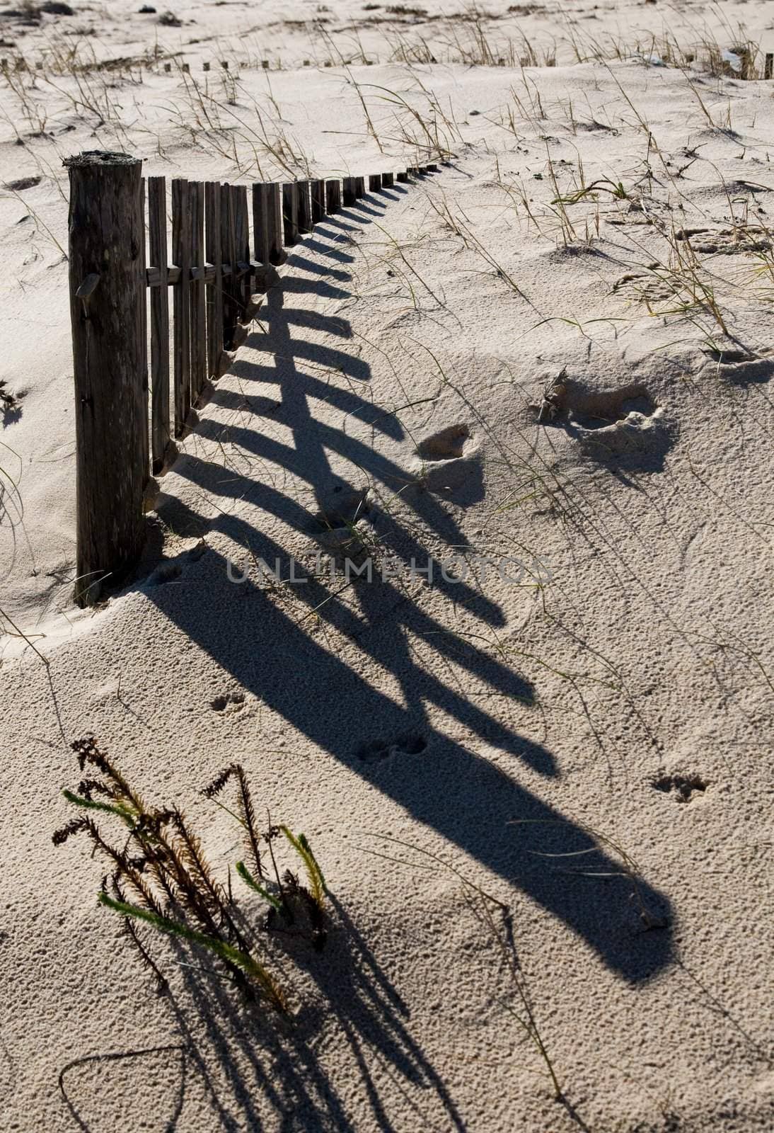 fence on the sand by membio