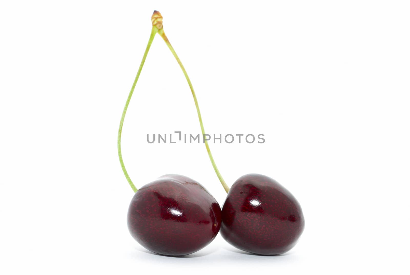 Two cherries with a stem on white background