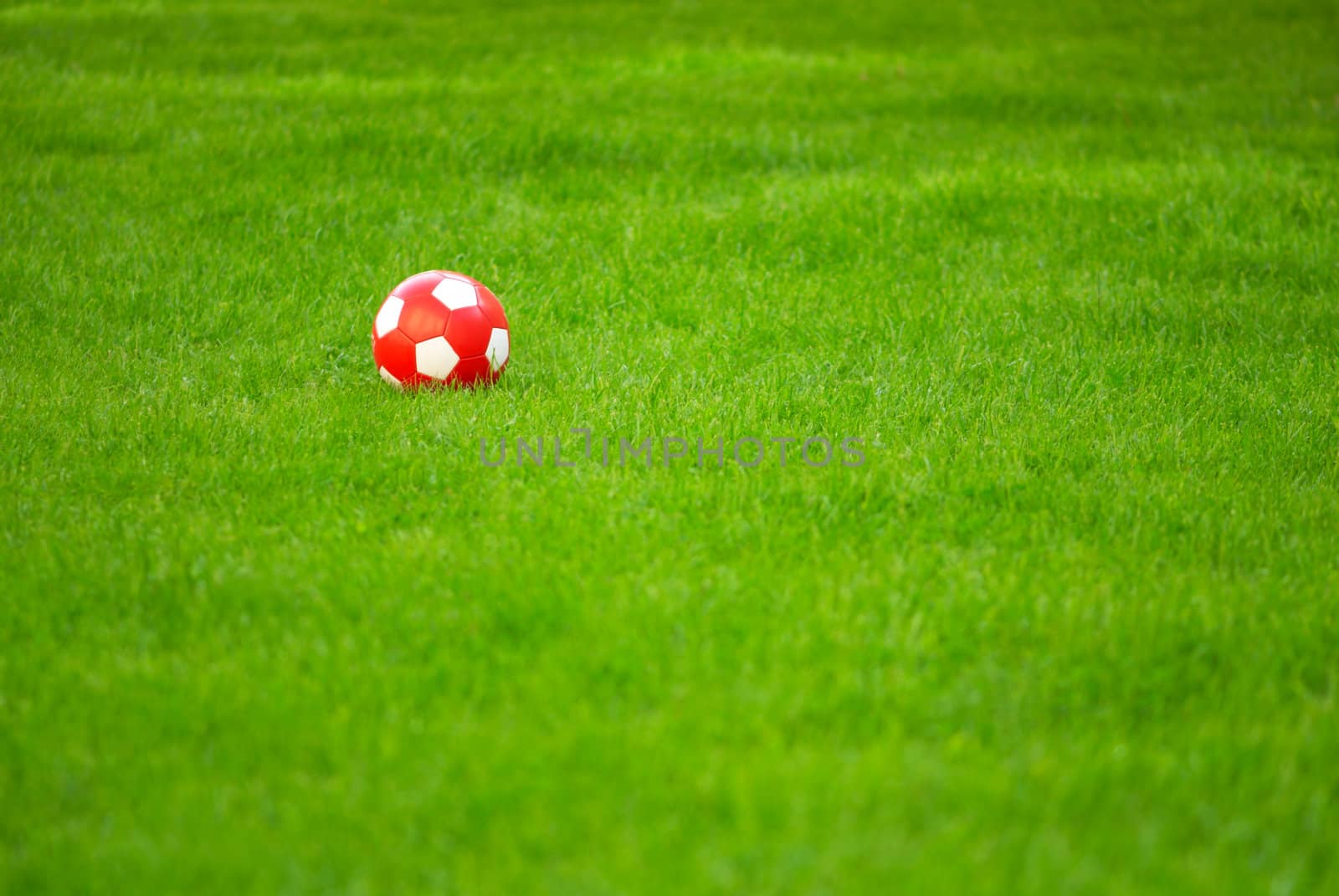 Red ball on green grass