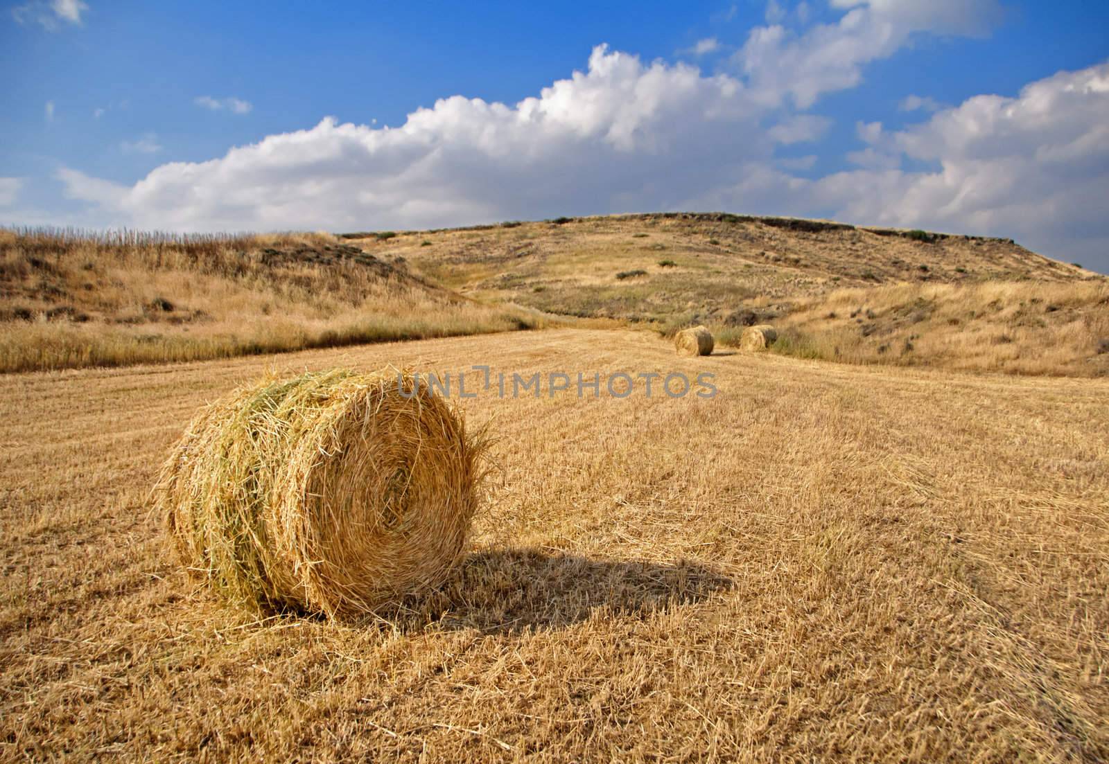 Hay Field by urmoments