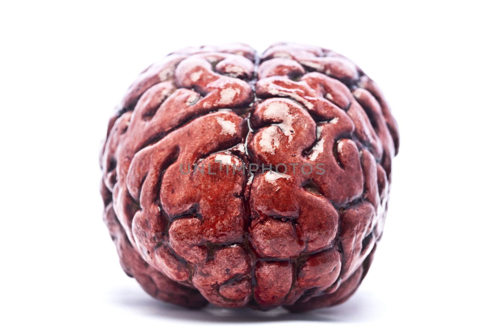 A bloody brain, on a white background. Check out the other images in this series.