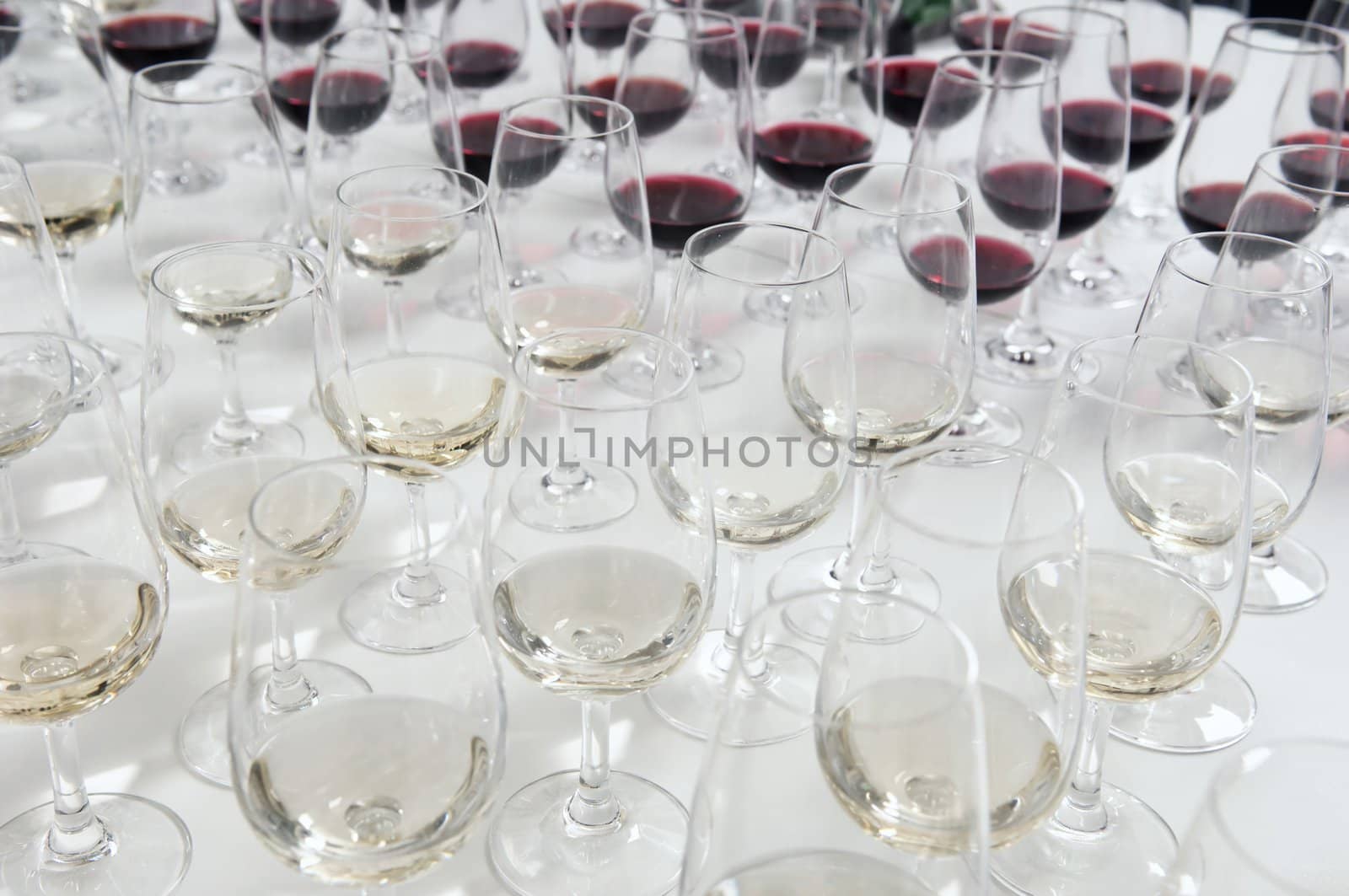 Winetasting glasses aligned for a taste of red and white wines