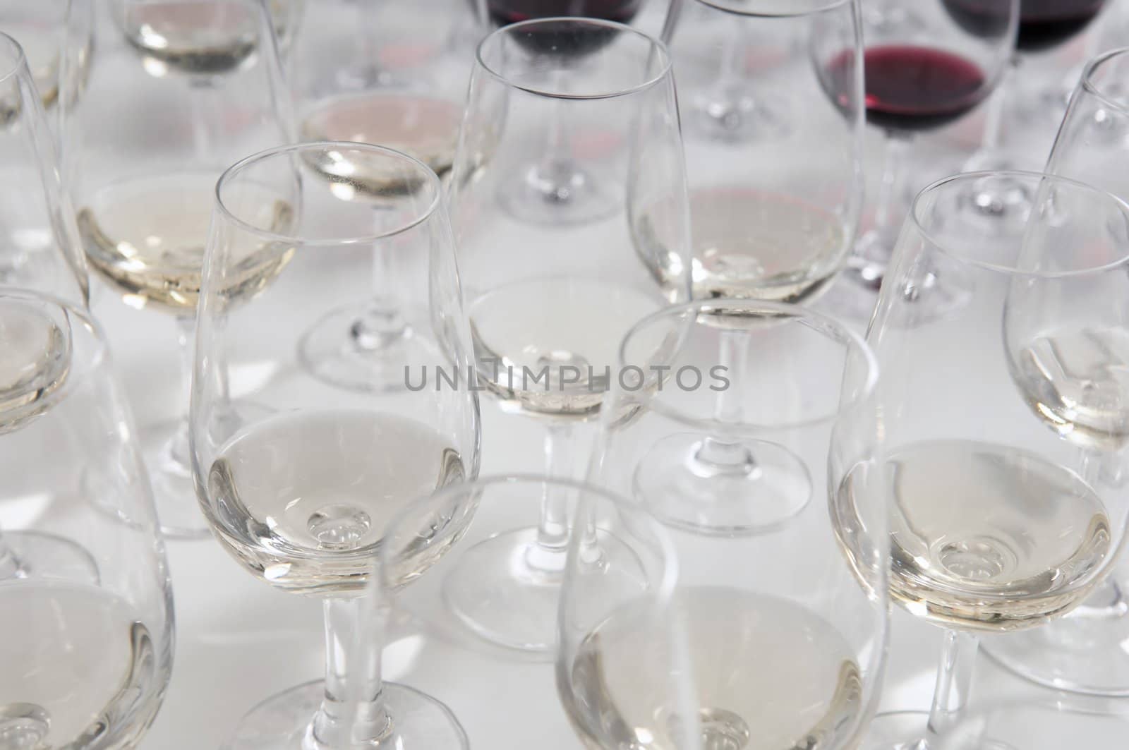 Winetasting glasses aligned for a taste of red and white wines