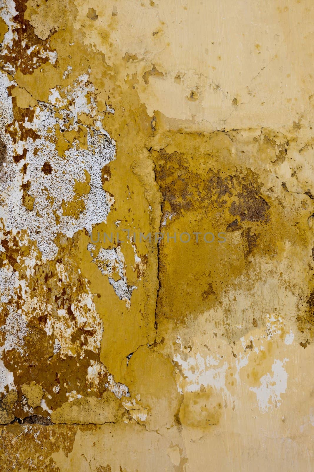 Close up view of a weathered wall texture.