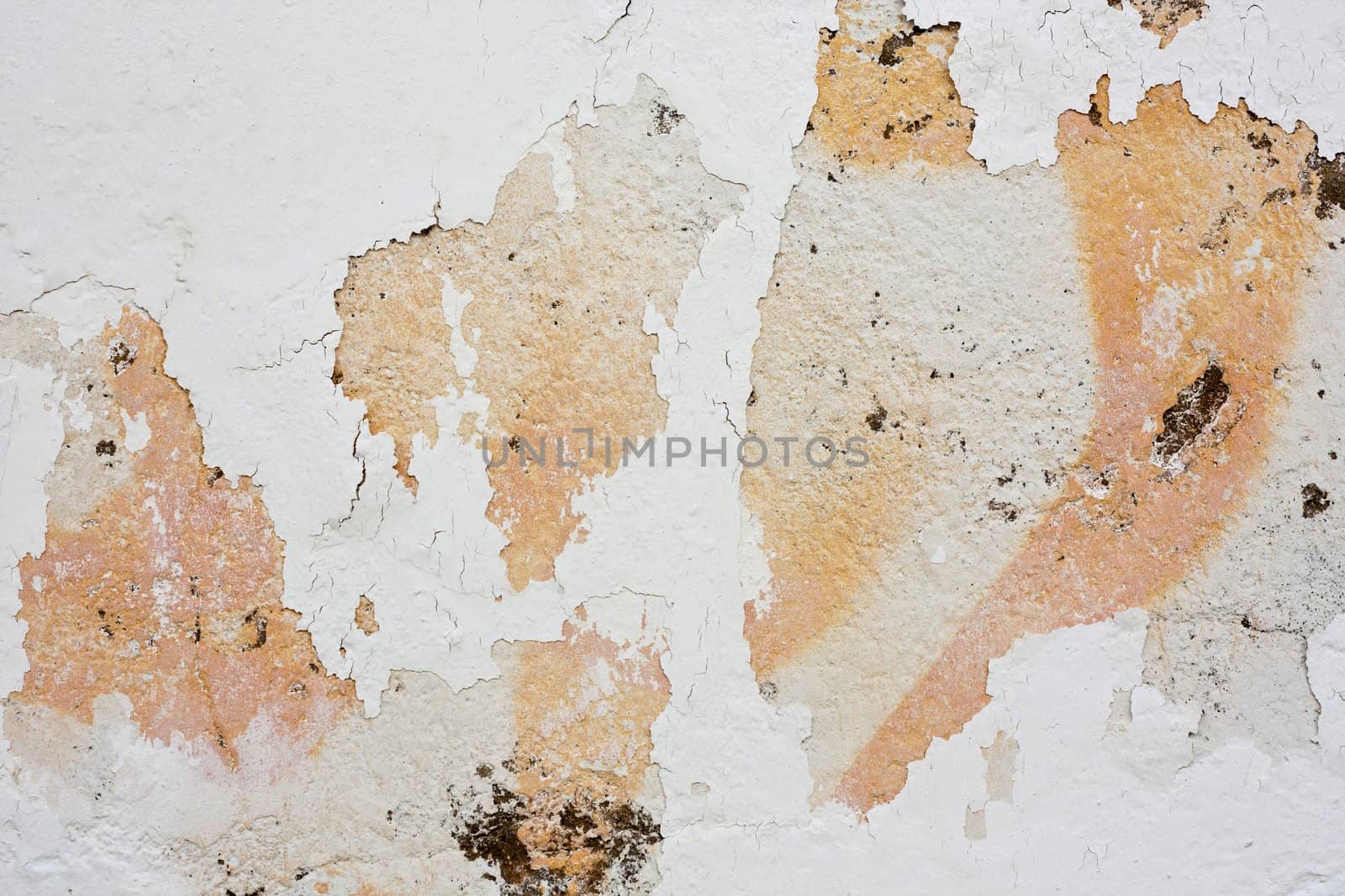 Close up view of a worn textured cement wall.