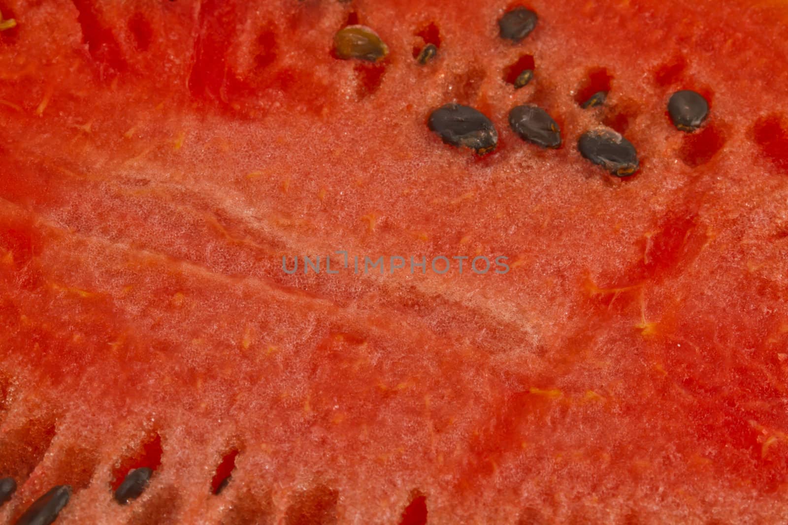 Close up of watermelon and seeds by noombp