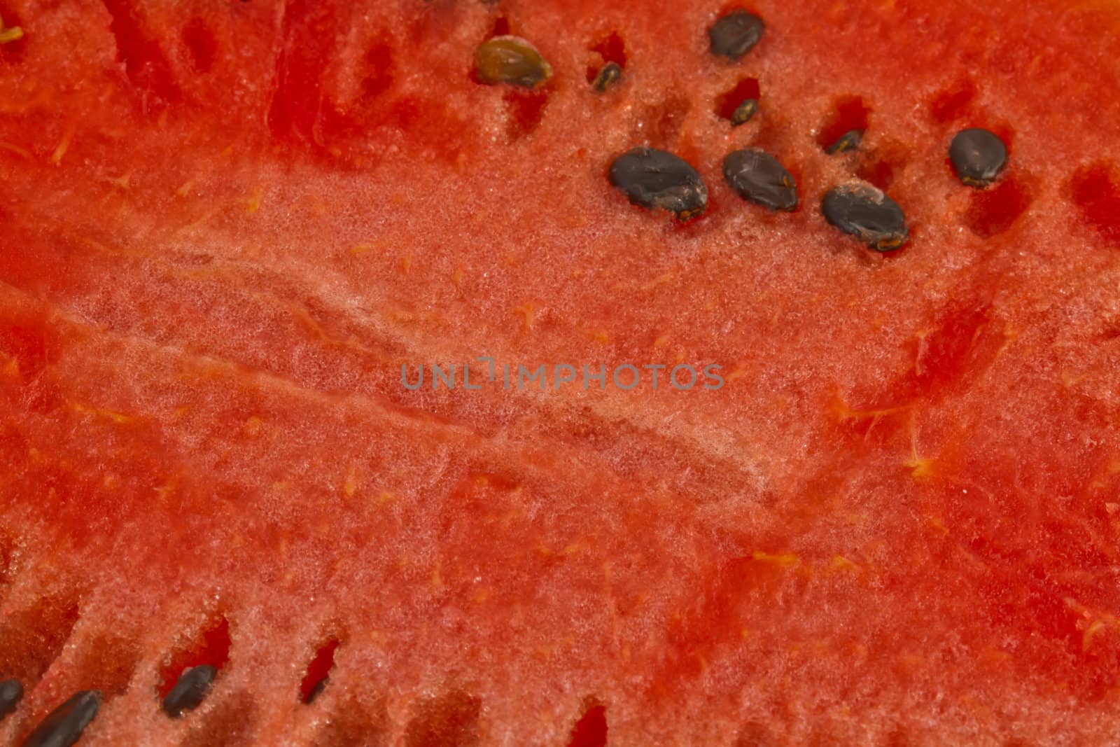 Close up of watermelon and seeds, isolated on white