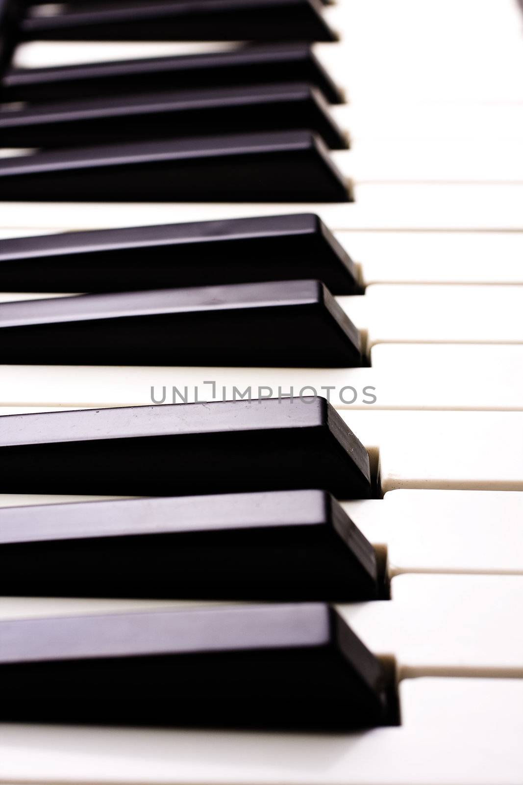 Piano Key close up shot for texture