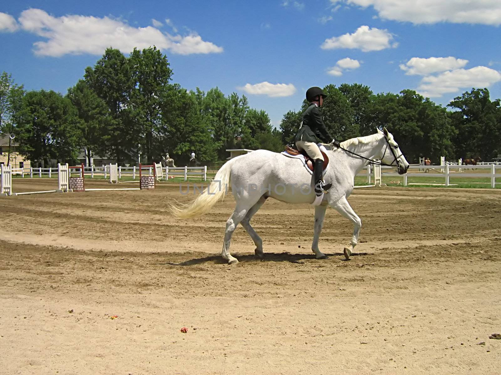 A photograph of a horse and rider.