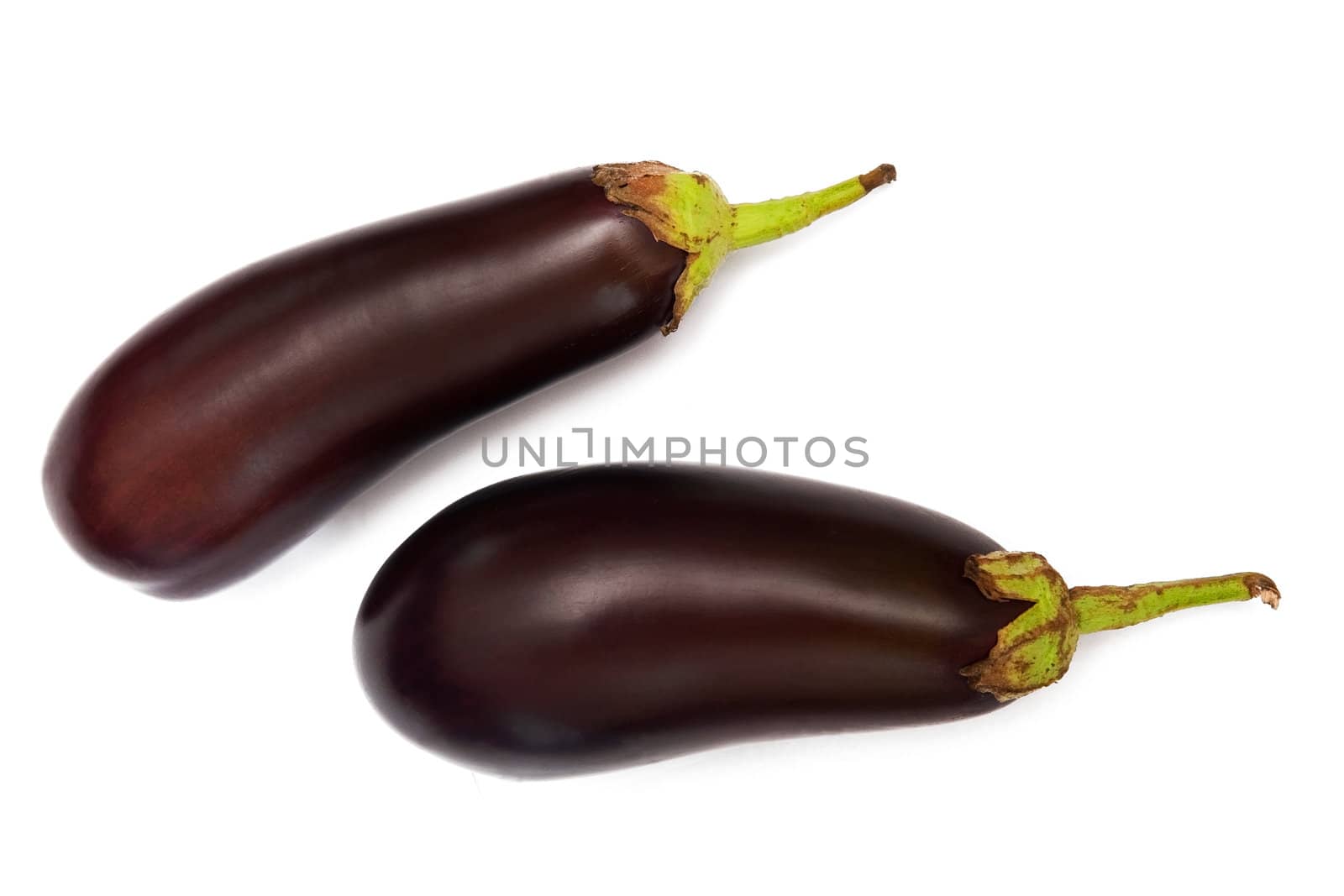 Eggplants by Yaurinko
