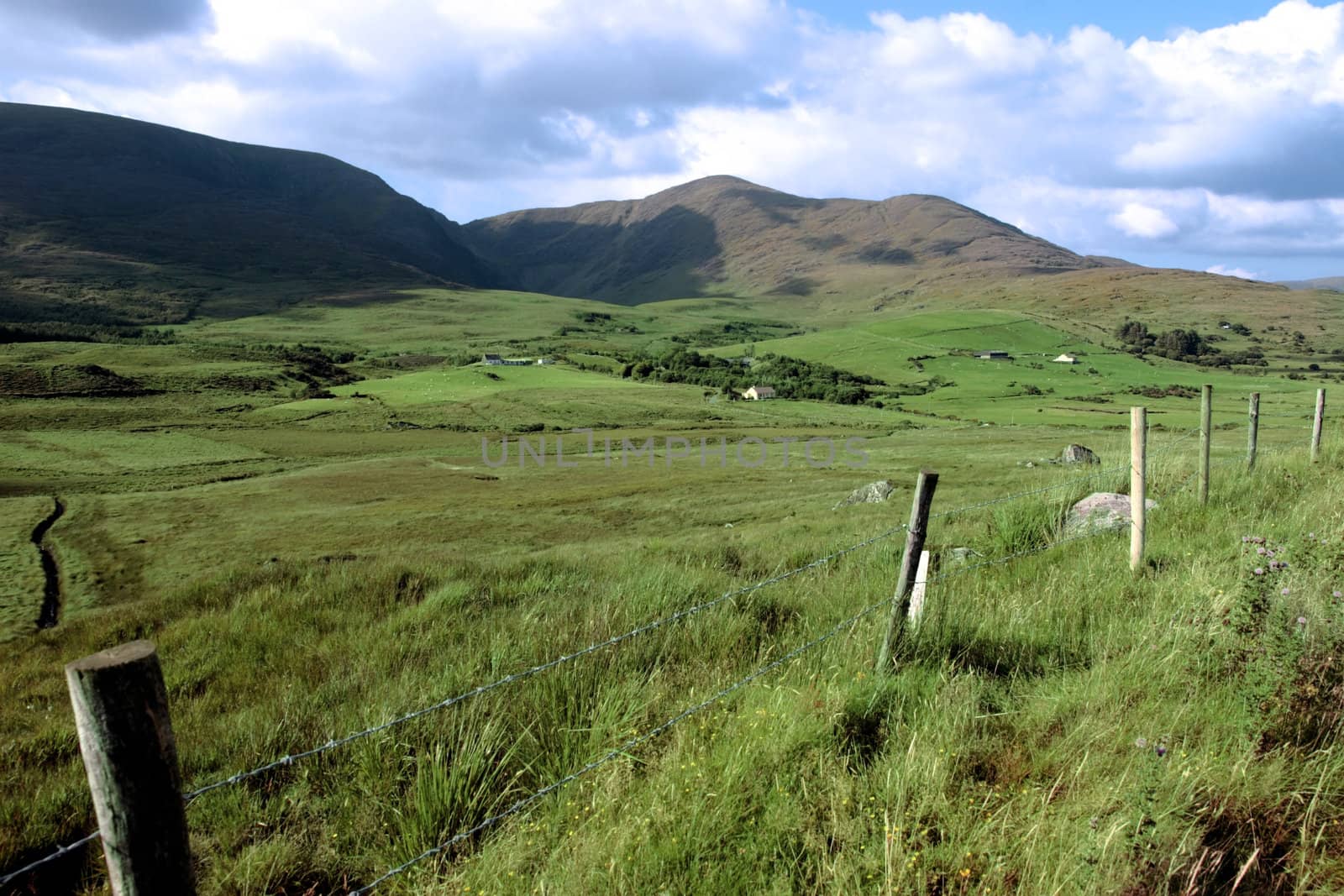 scenic view in kerry ireland of rural homes dotted in the green countryside