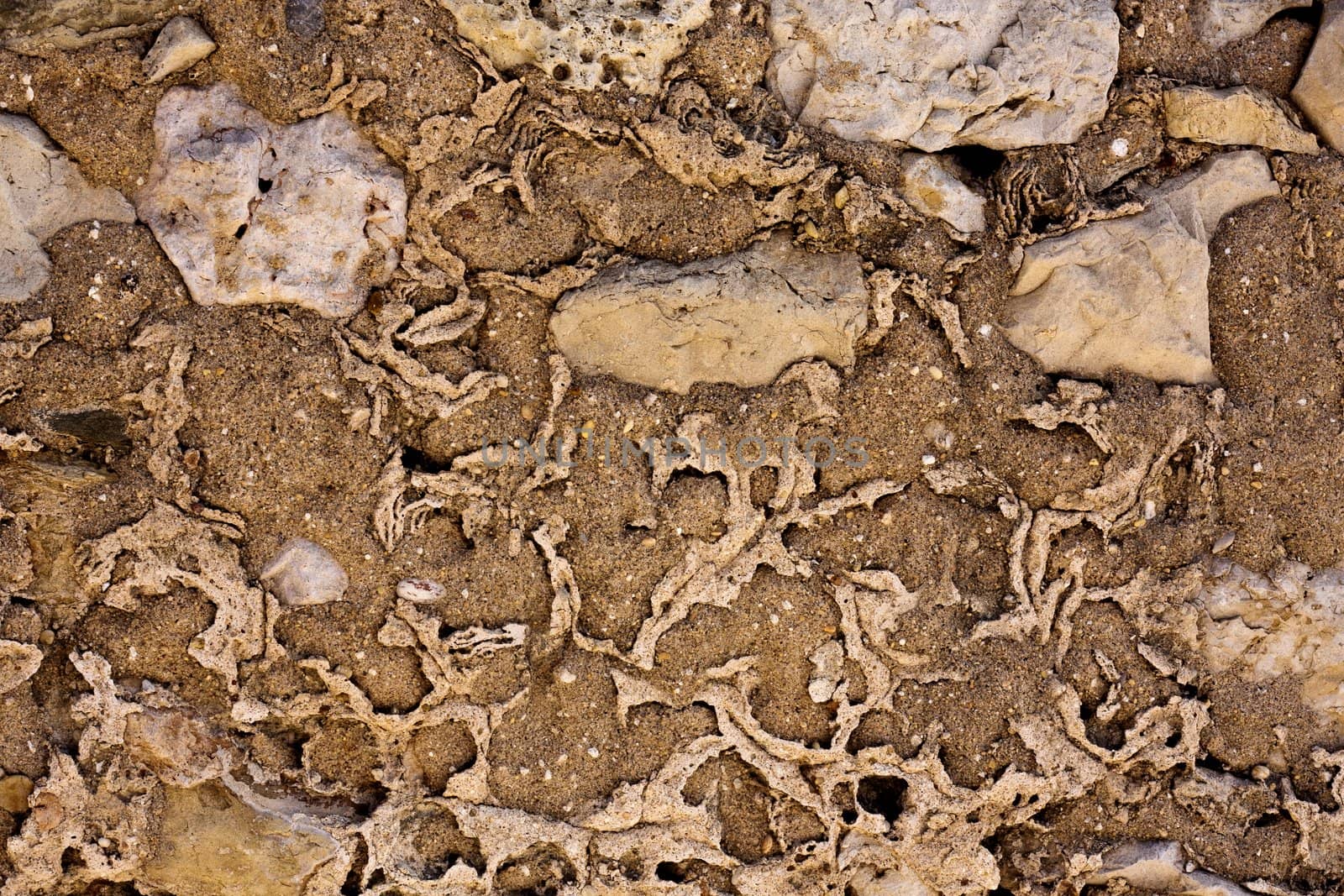 Close up view of a worn textured cement wall.