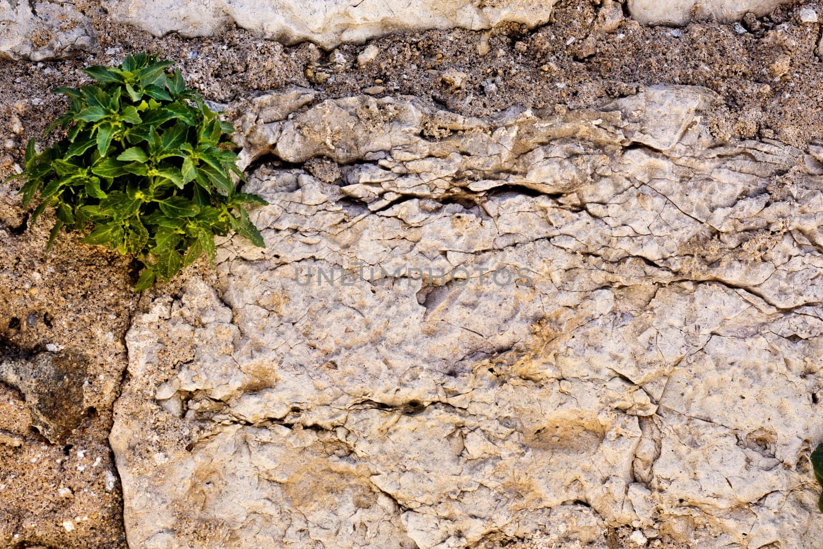 Close up view of a worn textured stone wall.