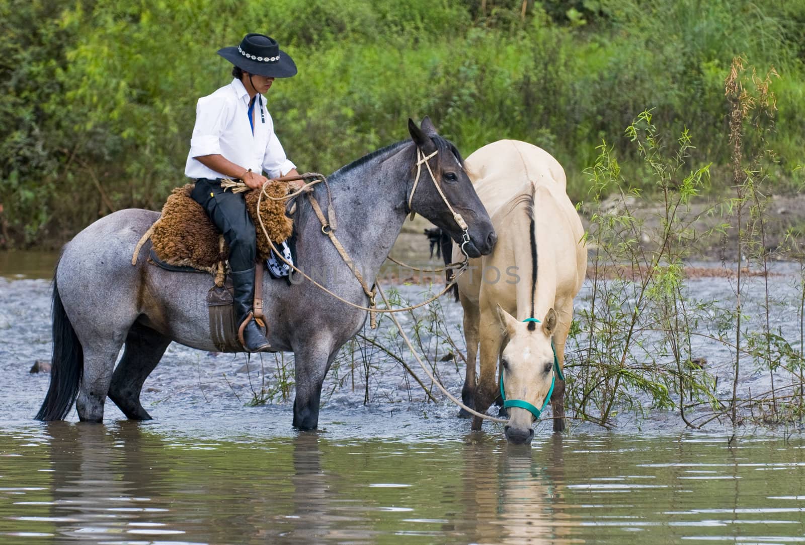 TACUAREMBO, URUGUAY - MAR 6 : Participant in the annual festival "Patria Gaucha" March 6, 2010 in Tacuarembo, Uruguay. It is one of the biggest festival in South America to celebrate gaucho culture