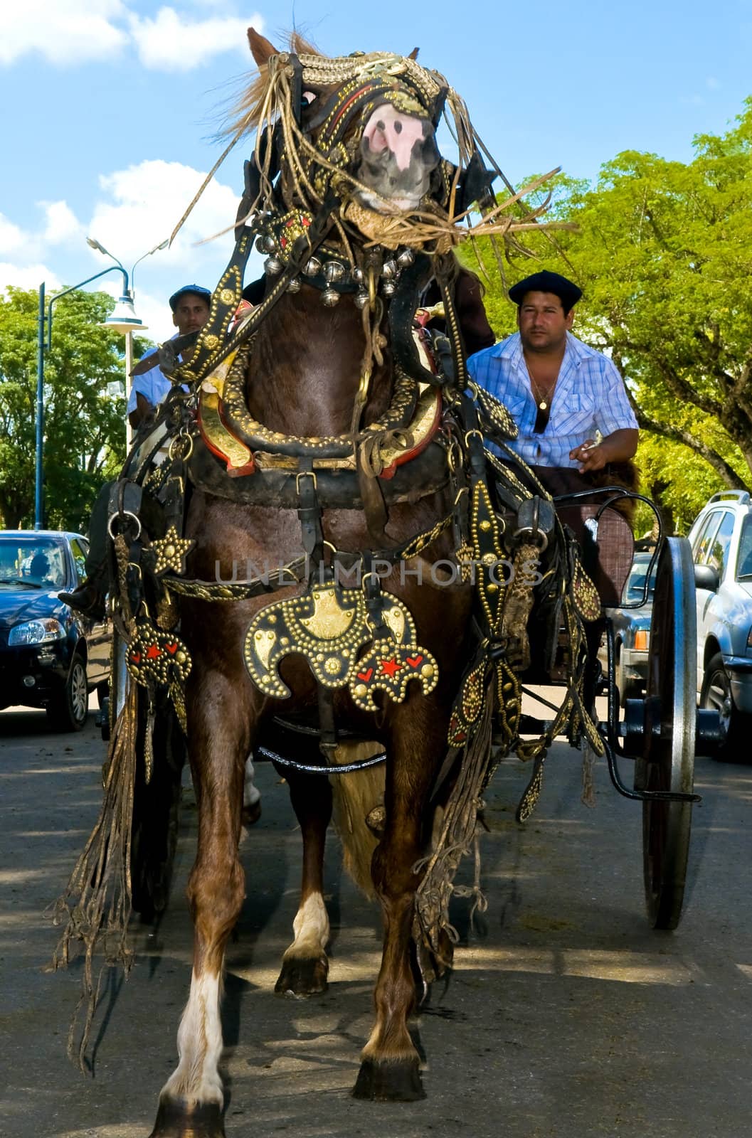 TACUAREMBO, URUGUAY - MAR 6 : Participant in the annual festival "Patria Gaucha" March 6, 2010 in Tacuarembo, Uruguay. It is one of the biggest festival in South America to celebrate gaucho culture