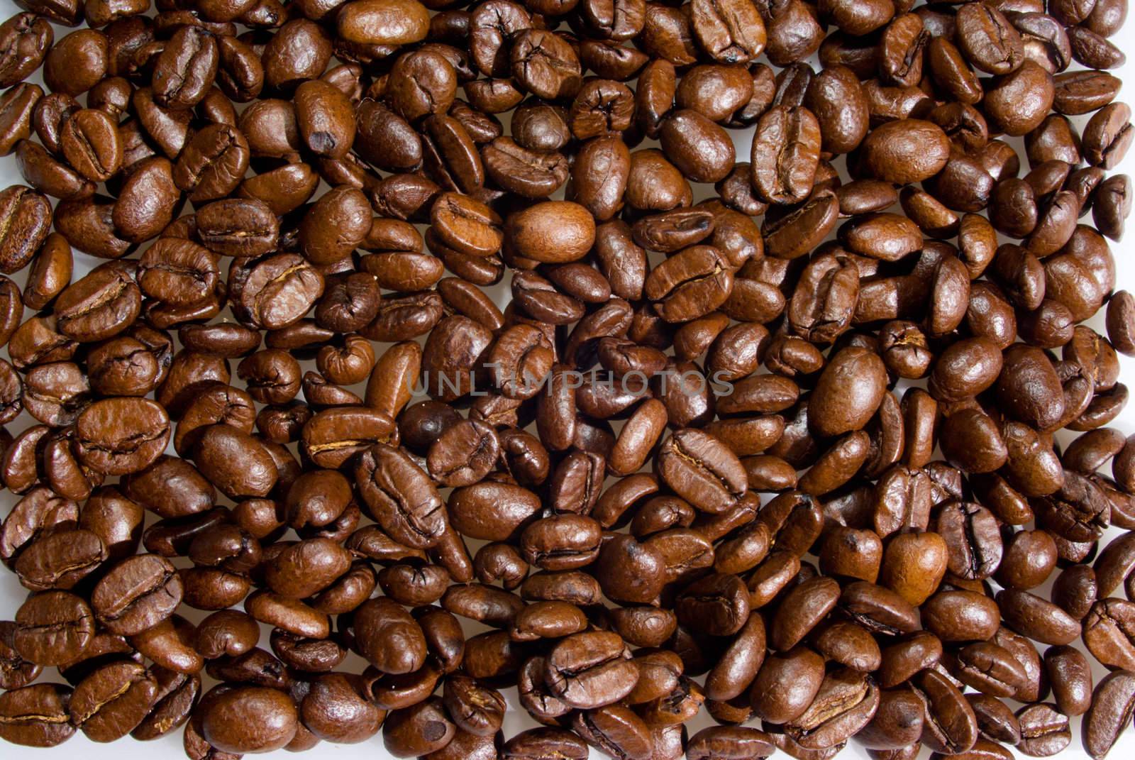 Backround of many coffee grains