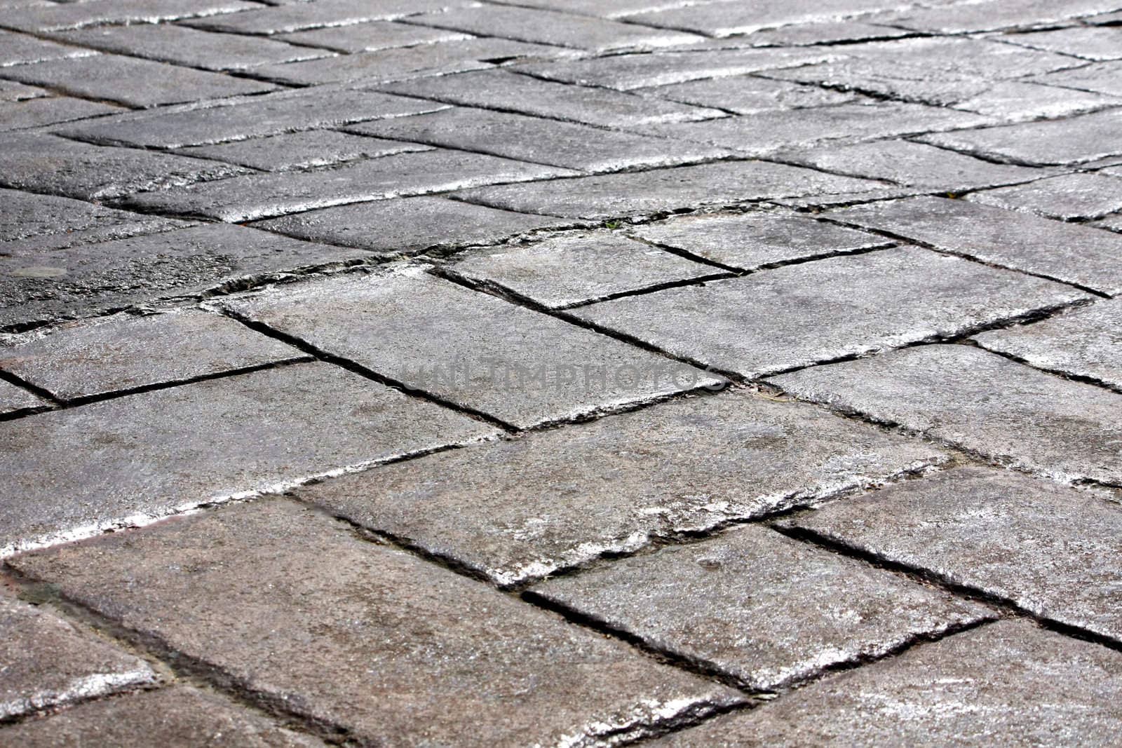 Close ground view of an dark gray urban city pavement.