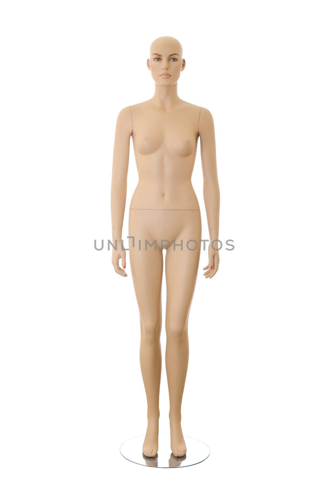 Detailed female mannequin without clothes. Isolated on white background