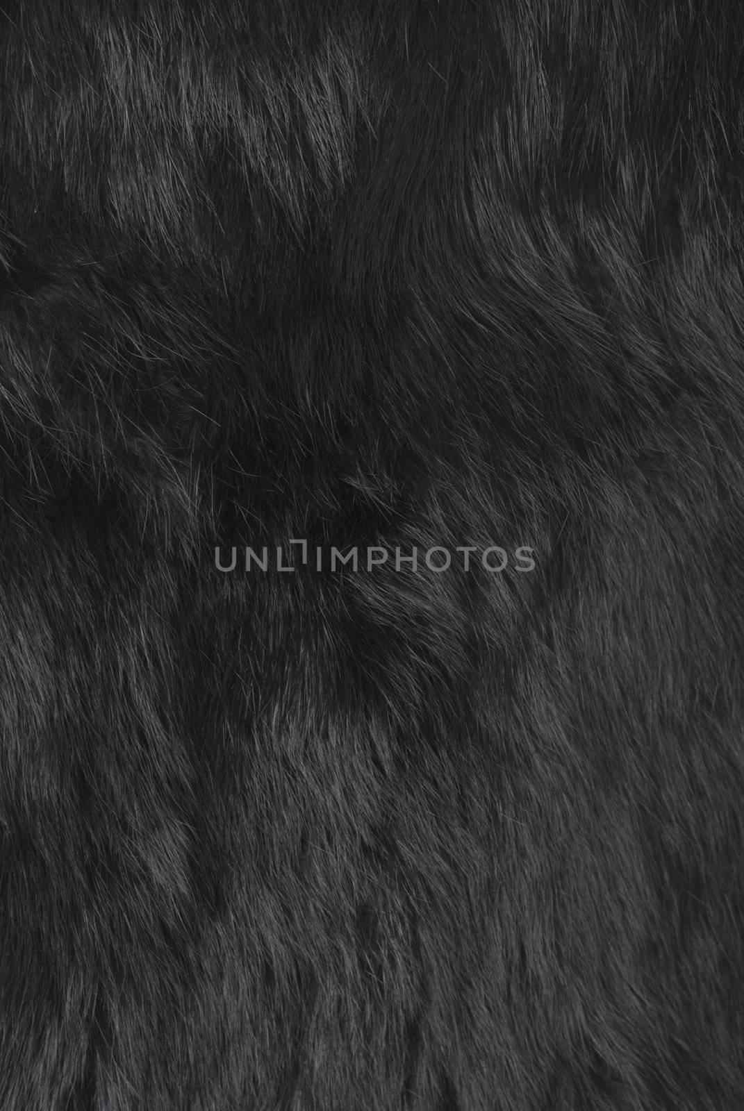 Black rabbit fur texture. Part of the winter fur coat