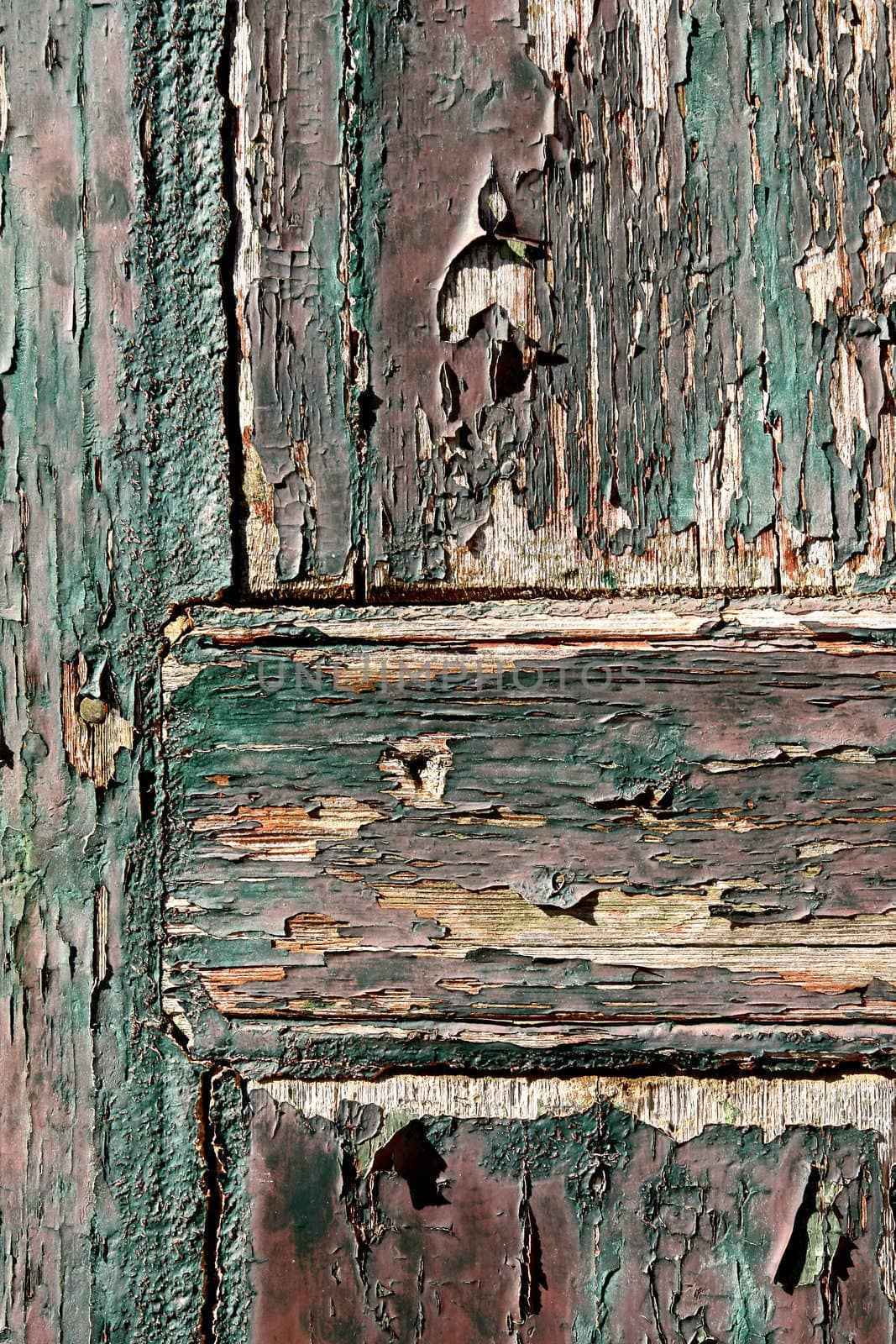 Closeup view of the texture of an old door.