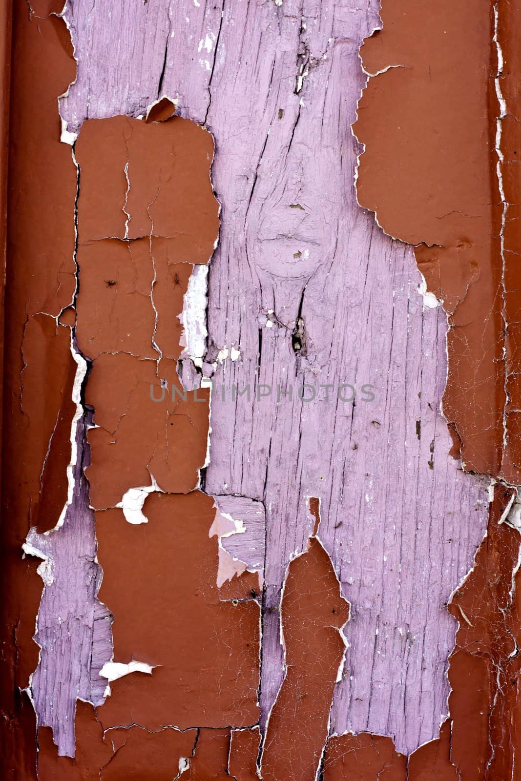 Close up view a wooden texture with peeled paint.