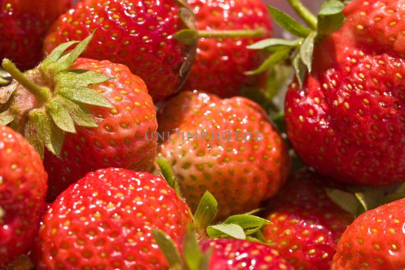 food series: freshly grown tasty strawberry texture